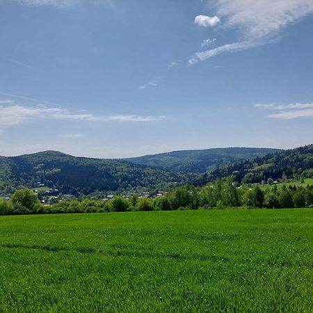 Brzozowy Zakatek Appartement Posada Gorna Buitenkant foto