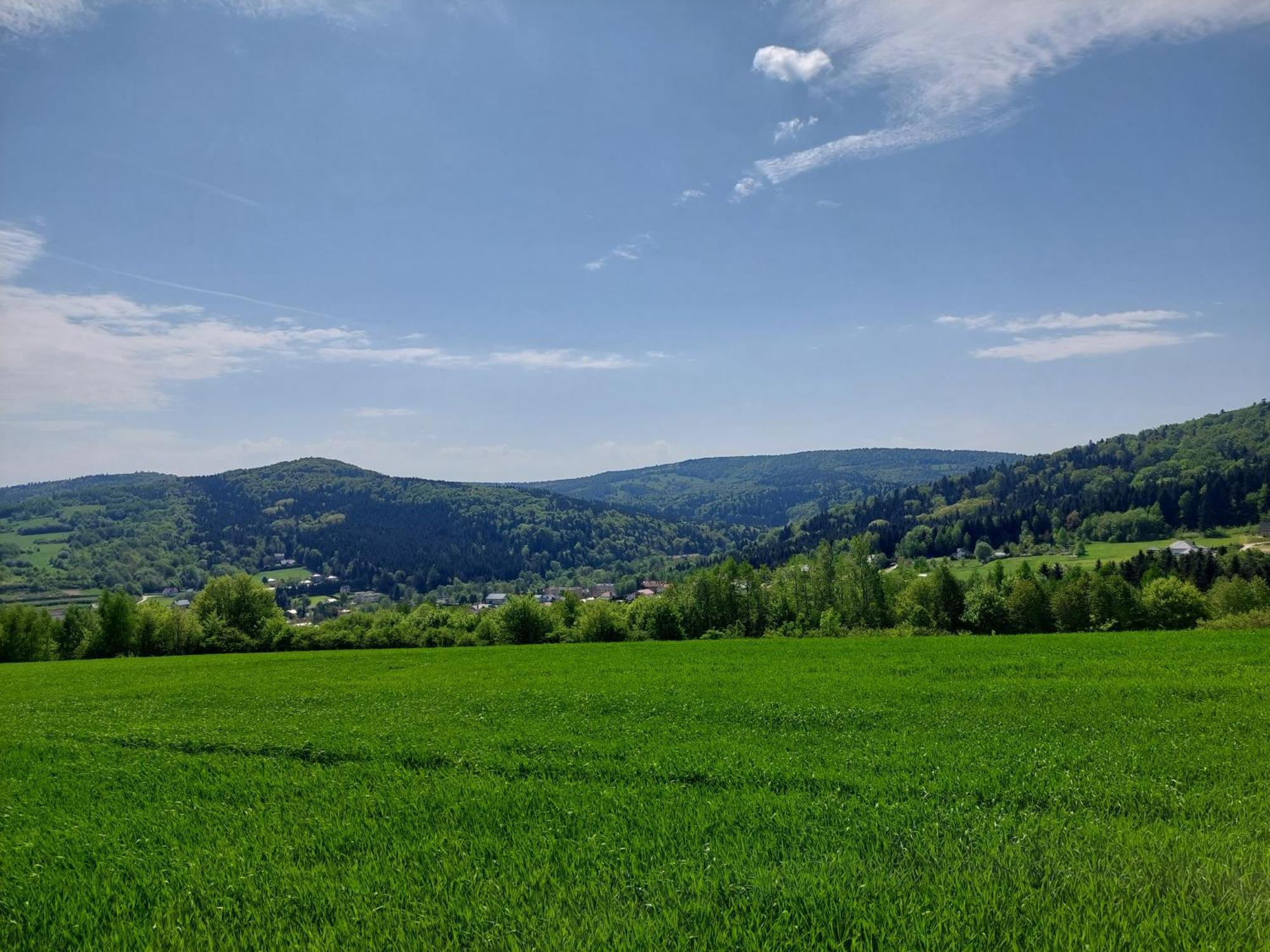 Brzozowy Zakatek Appartement Posada Gorna Buitenkant foto
