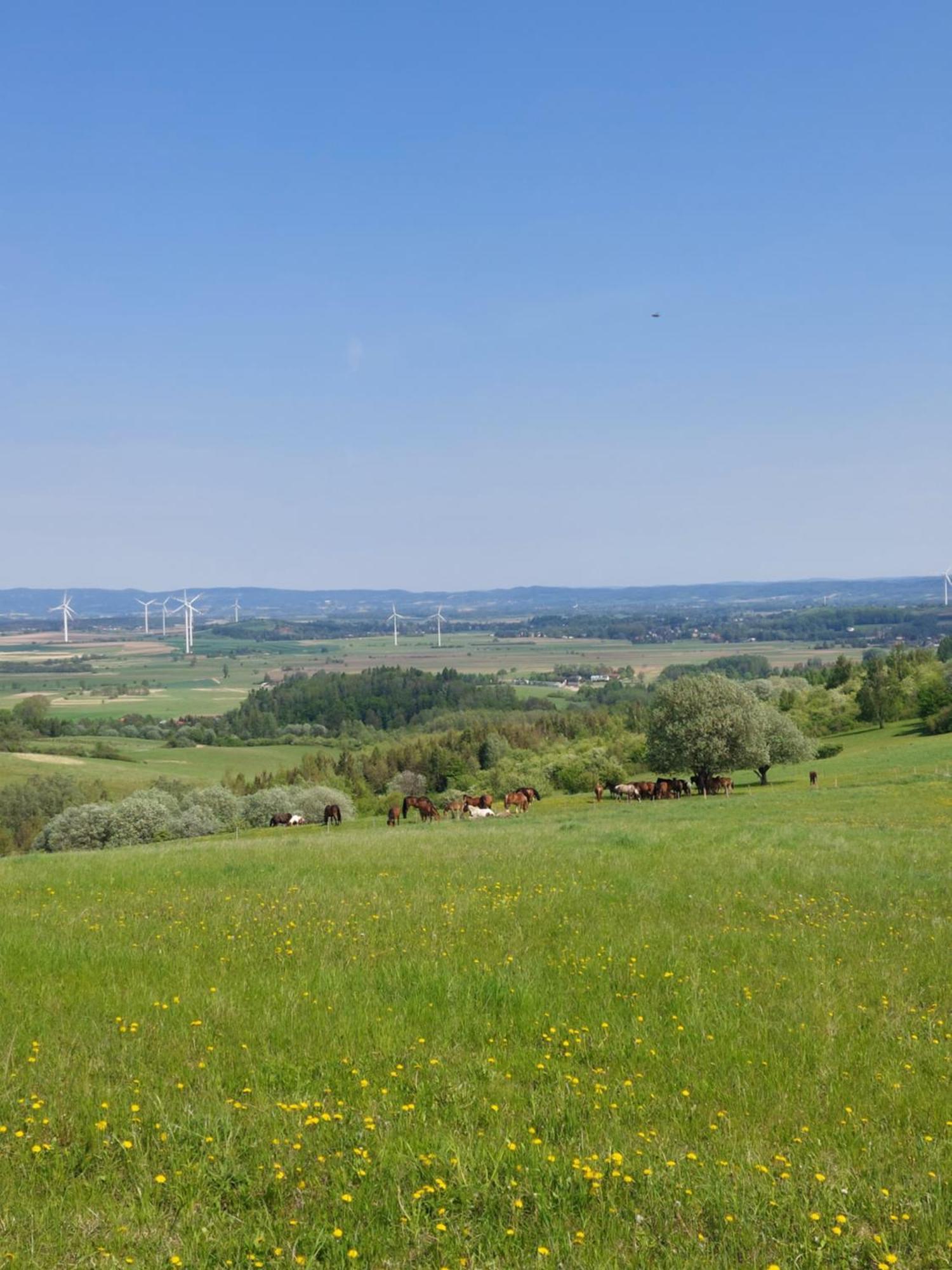 Brzozowy Zakatek Appartement Posada Gorna Buitenkant foto