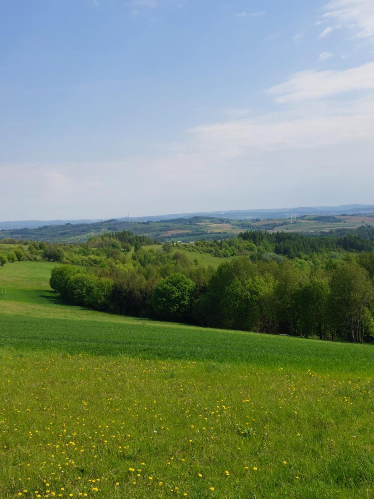 Brzozowy Zakatek Appartement Posada Gorna Buitenkant foto