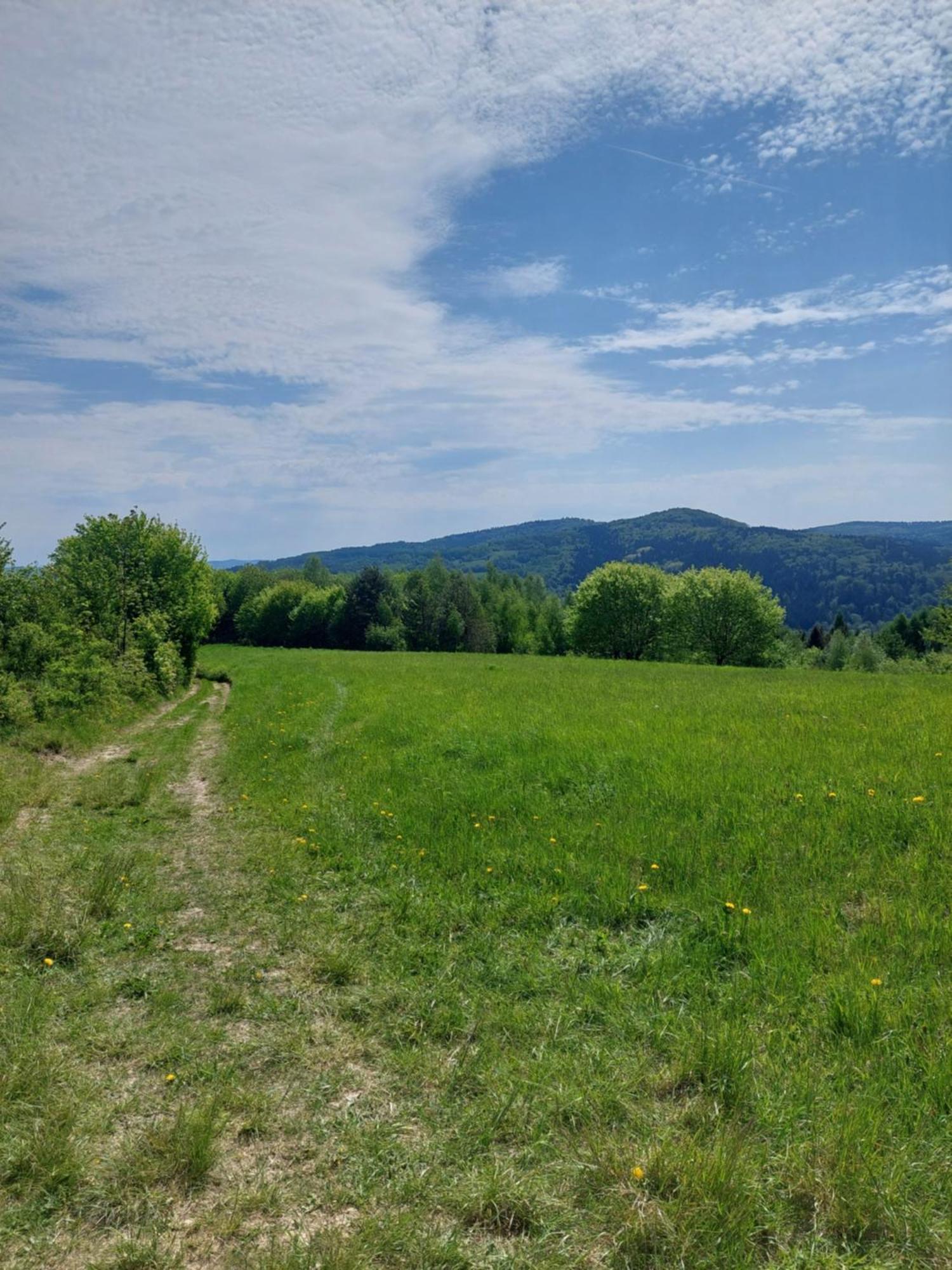 Brzozowy Zakatek Appartement Posada Gorna Buitenkant foto