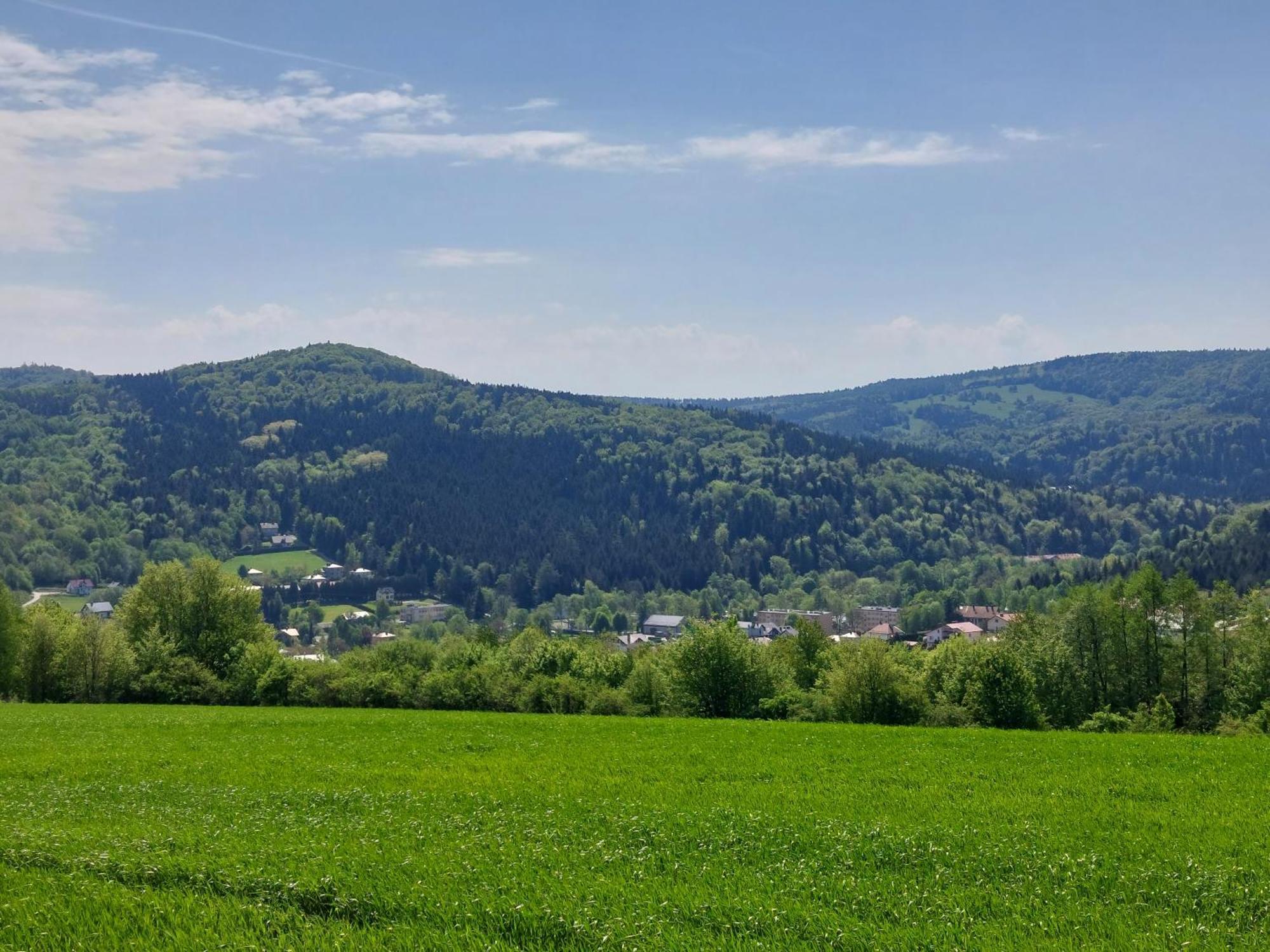 Brzozowy Zakatek Appartement Posada Gorna Buitenkant foto