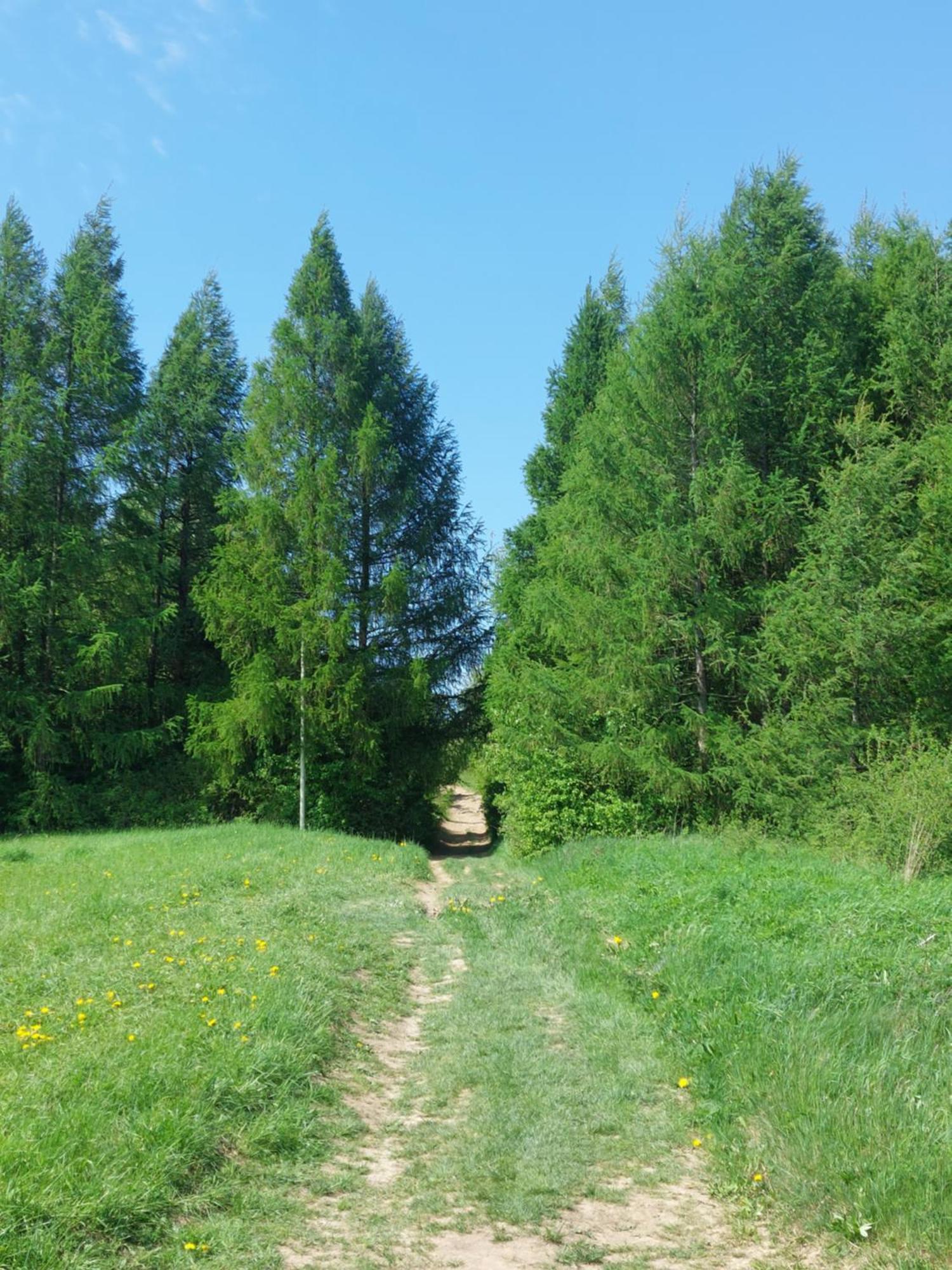 Brzozowy Zakatek Appartement Posada Gorna Buitenkant foto